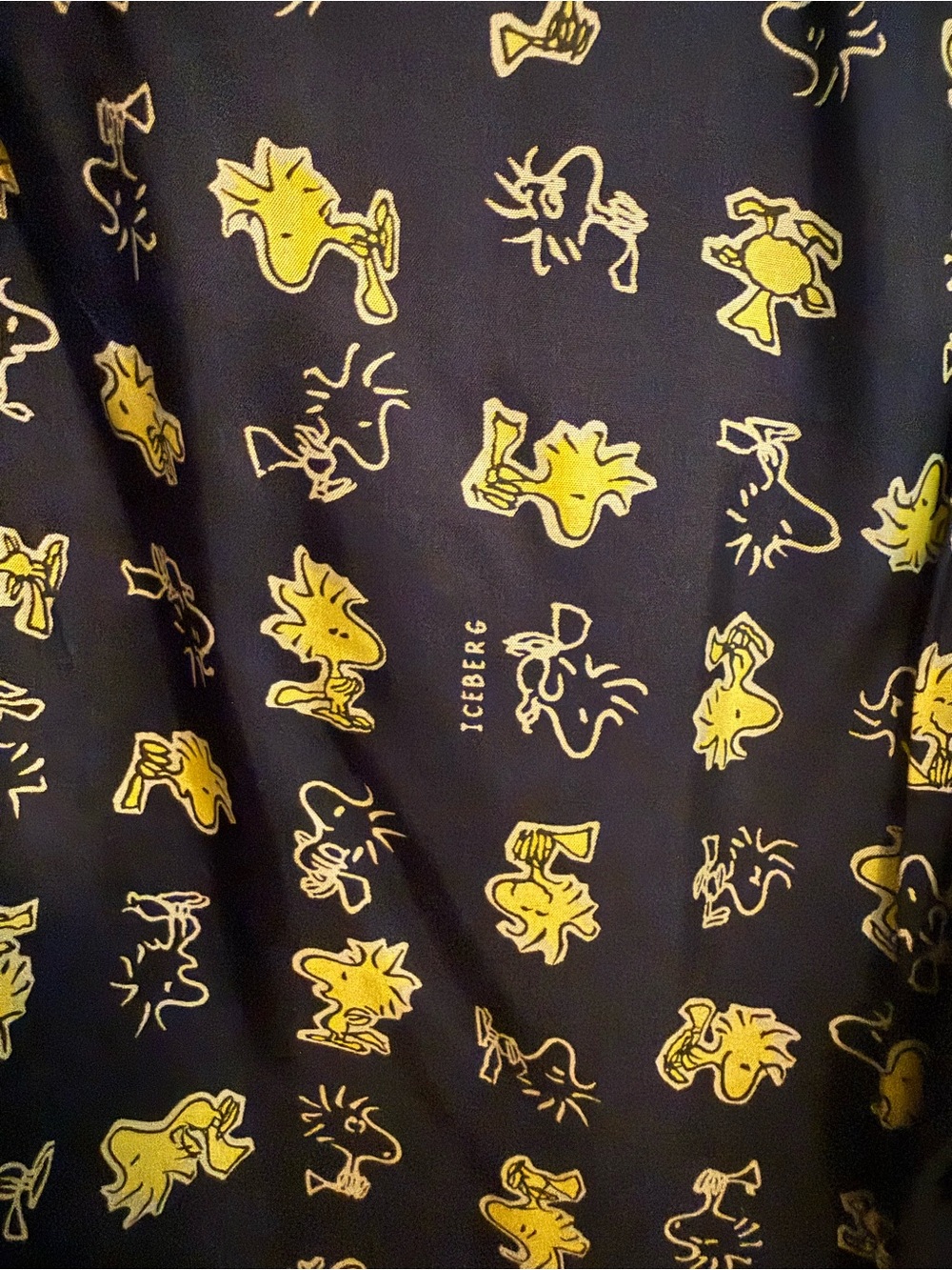 Iceberg x Peanuts x Harriet Kassman Blazer w/Embroidery & Gold Accents - Picture 6 of 9
